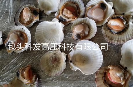 Seafood products